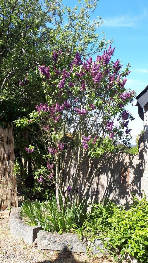 Cote De Granit Rose Villa Pleumeur-Bodou Dış mekan fotoğraf