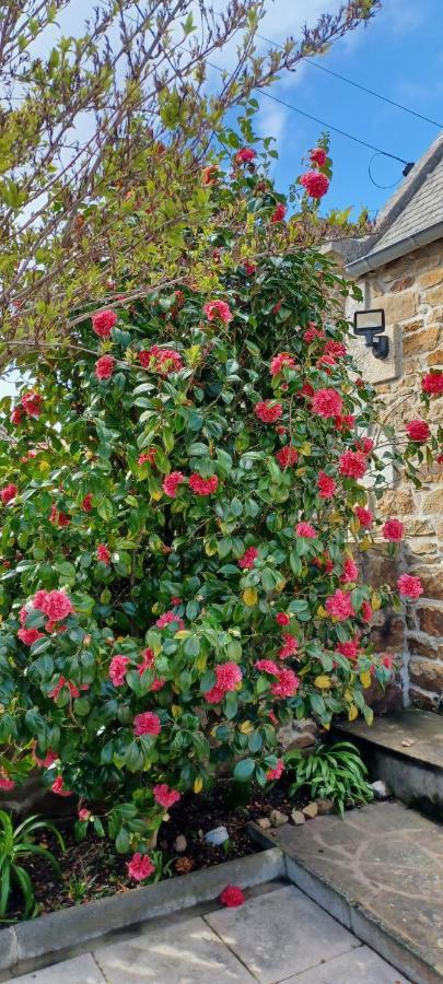 Cote De Granit Rose Villa Pleumeur-Bodou Dış mekan fotoğraf
